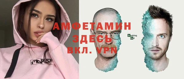 индика Тольятти