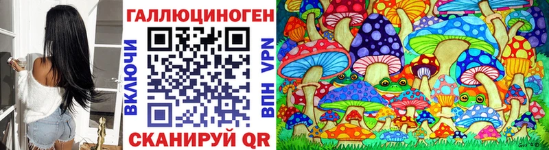 купить наркотик  Белово  Псилоцибиновые грибы Psilocybine cubensis 