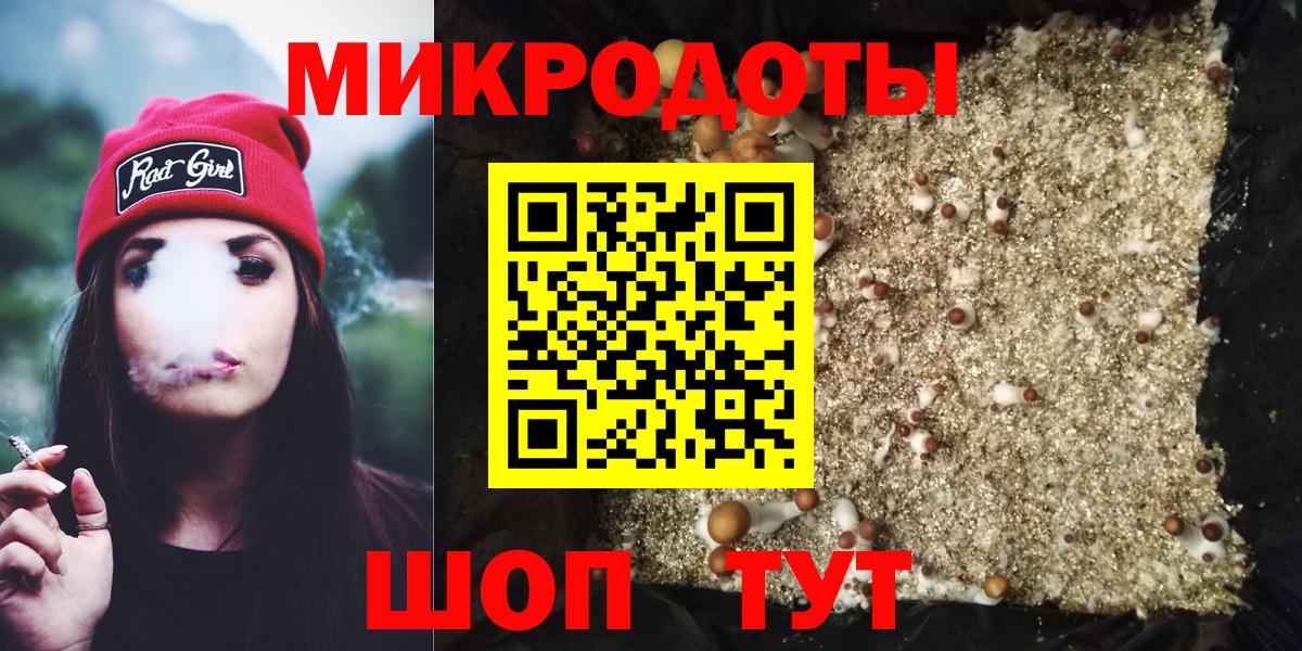 Псилоцибиновые грибы Cubensis Белово