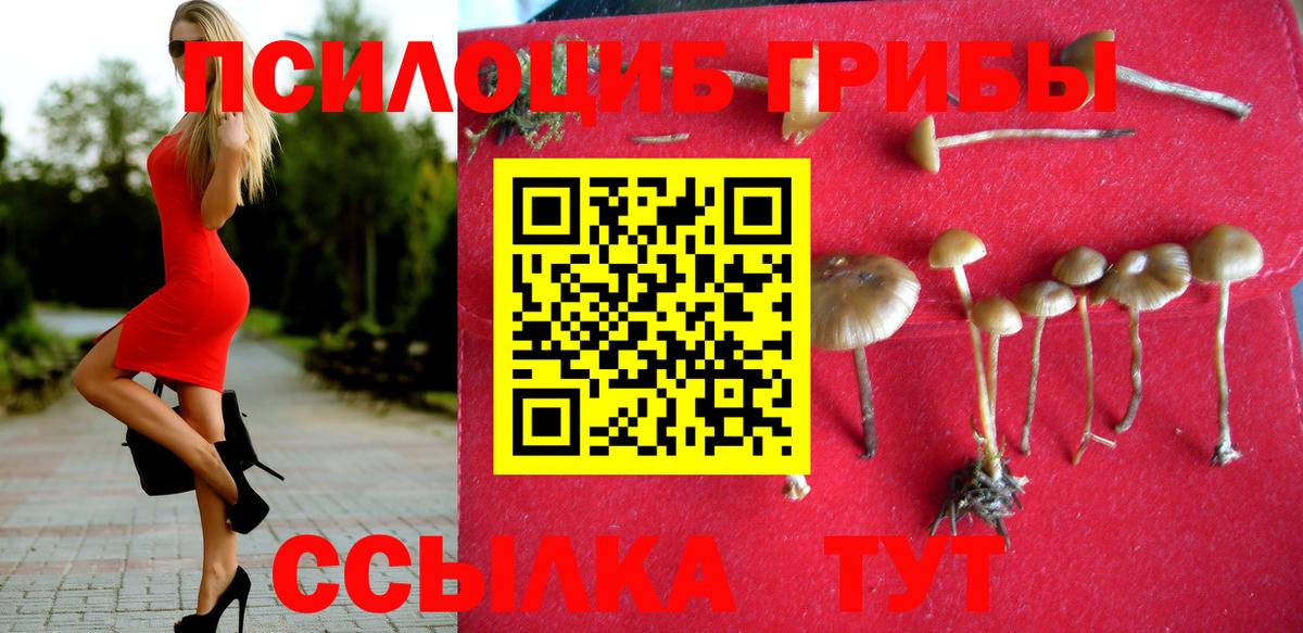 Псилоцибиновые грибы Magic Shrooms  Белово 