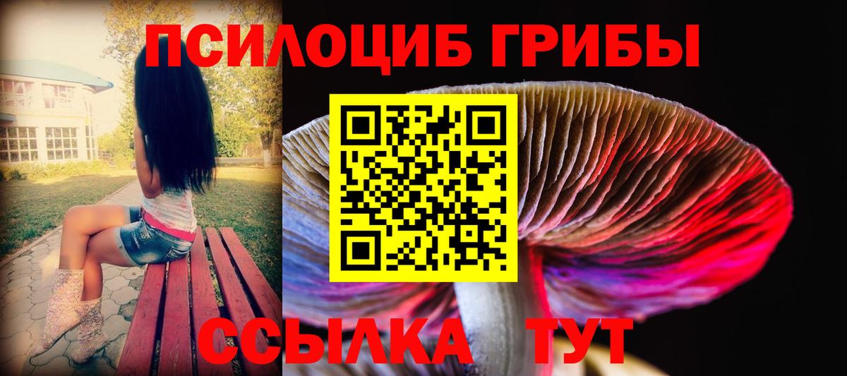 Псилоцибиновые грибы ЛСД  Галлюциногенные грибы ЛСД  Белово  Вход с VPN 